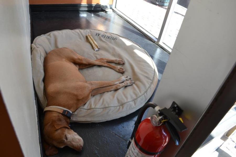 229306_10101796351753581_783901780_n