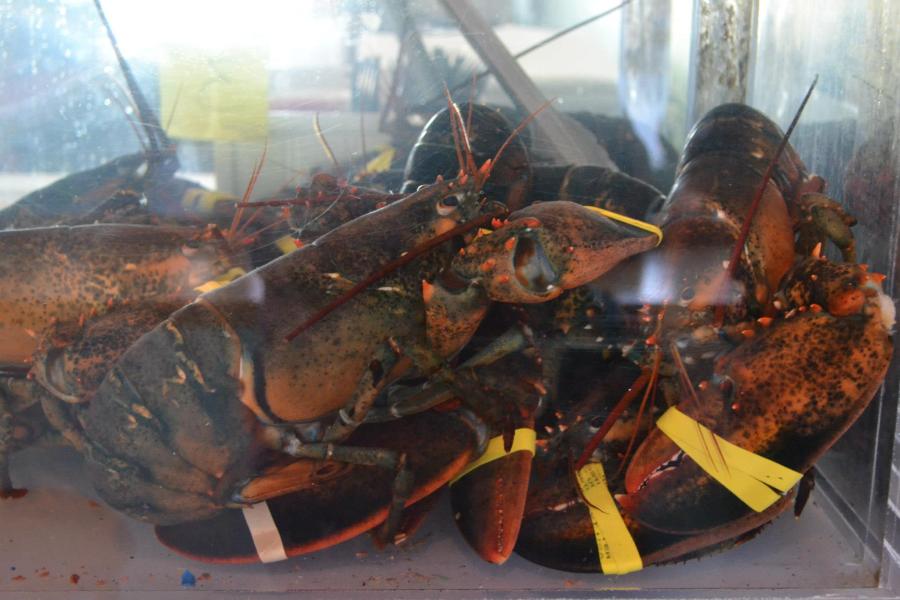 327015_10101796389647641_123736676_o