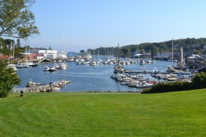 225958_10101796610954141_389016830_n