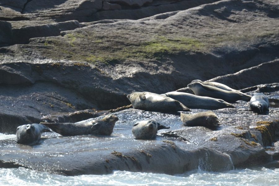 246557_10101796609018021_1298489319_n