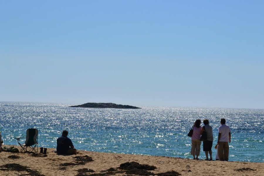 248469_10101796528988401_1565946715_n