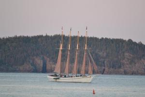 308293_10101796588683771_1165706277_n