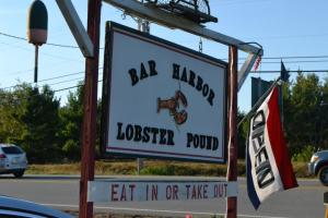 408577_10101796580530111_721225843_n