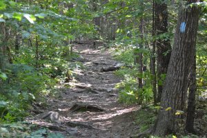 460915_10101796447831041_1492354525_o