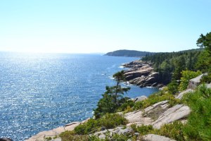 47203_10101796542147031_228952884_n