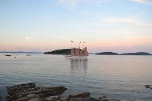 483042_10101796591922281_638499771_n