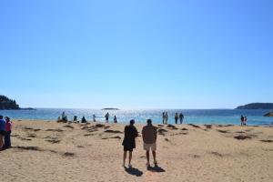 539286_10101796531687991_2005795914_n