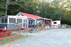 548000_10101796579357461_912532301_n